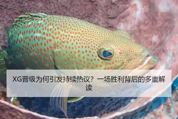 XG晋级为何引发持续热议？一场胜利背后的多重解读